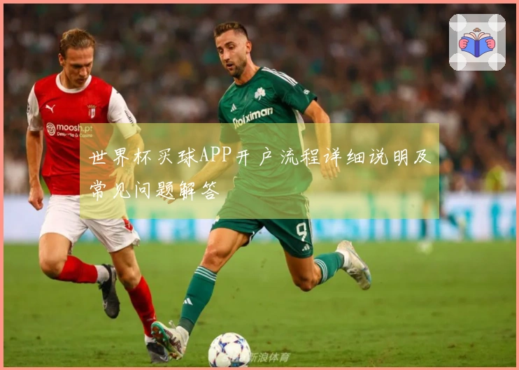 世界杯买球APP开户流程详细说明及常见问题解答