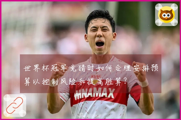 世界杯冠军竞猜时如何合理安排预算以控制风险和提高胜算？