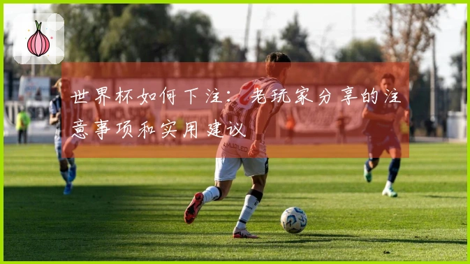世界杯如何下注：老玩家分享的注意事项和实用建议