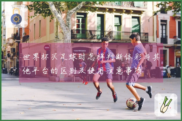 世界杯买足球时怎样判断体彩与其他平台的区别及使用注意事项