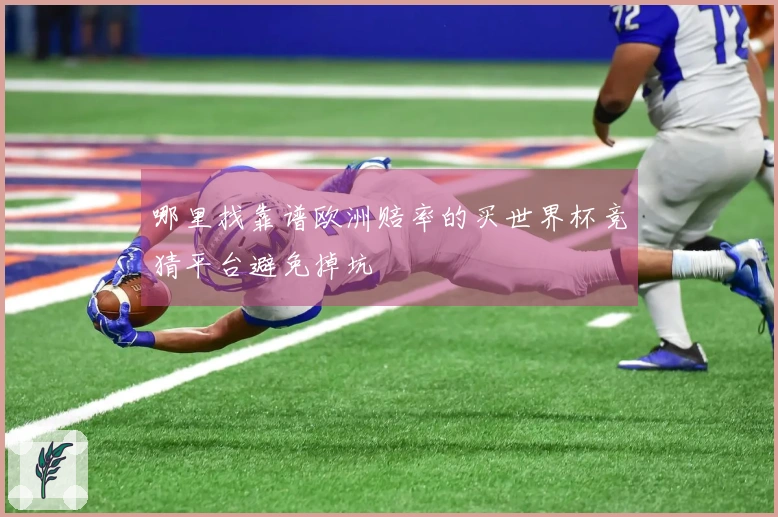 哪里找靠谱欧洲赔率的买世界杯竞猜平台避免掉坑