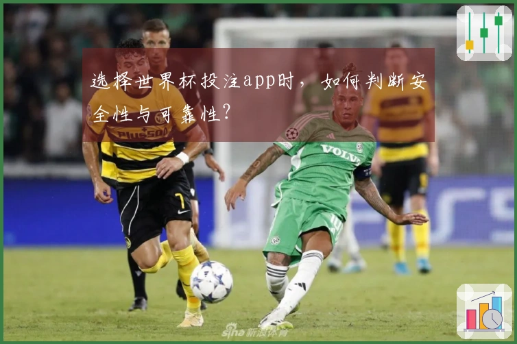 选择世界杯投注app时，如何判断安全性与可靠性？