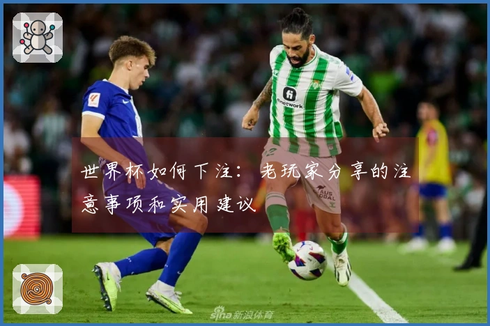 世界杯如何下注：老玩家分享的注意事项和实用建议