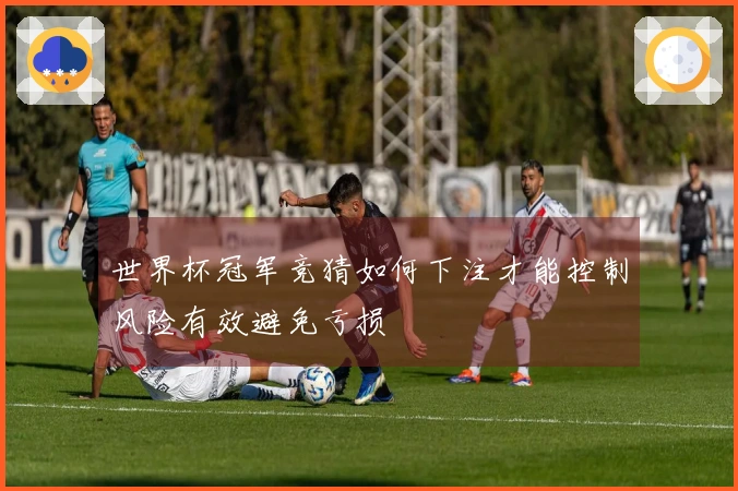 世界杯冠军竞猜如何下注才能控制风险有效避免亏损