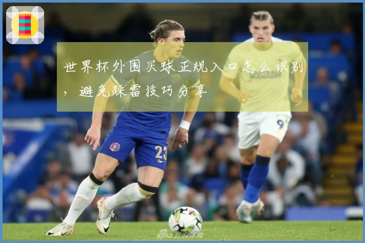 世界杯外围买球正规入口怎么识别，避免踩雷技巧分享