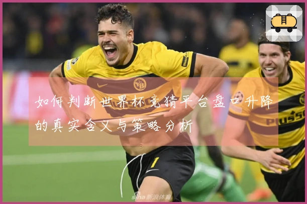 如何判断世界杯竞猜平台盘口升降的真实含义与策略分析