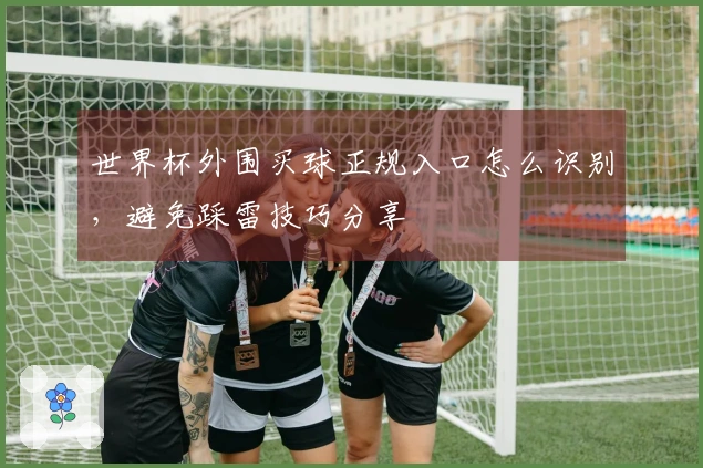 世界杯外围买球正规入口怎么识别，避免踩雷技巧分享