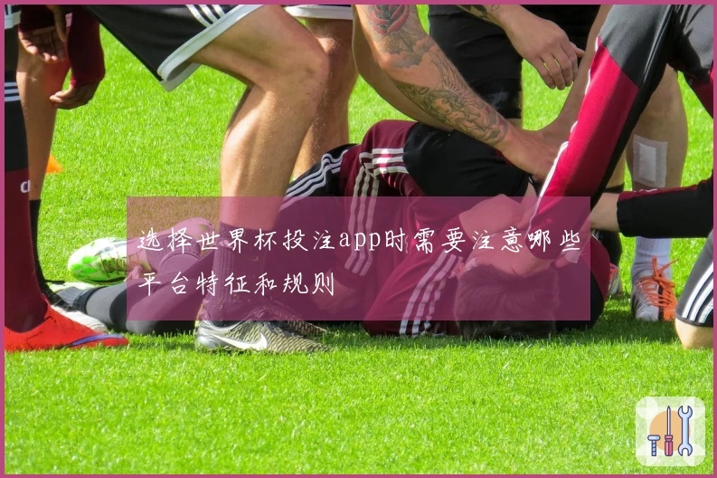 选择世界杯投注app时需要注意哪些平台特征和规则
