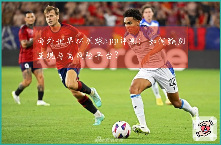 海外世界杯买球app评测：如何甄别正规与高风险平台？