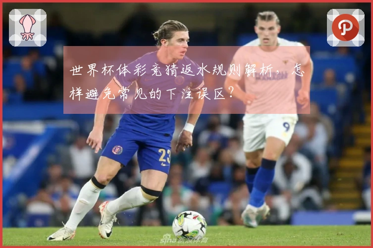 世界杯体彩竞猜返水规则解析，怎样避免常见的下注误区？