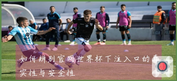 如何辨别官网世界杯下注入口的真实性与安全性