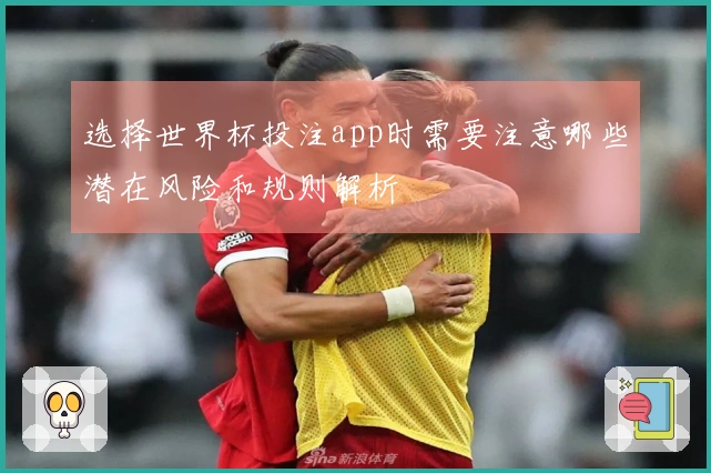 选择世界杯投注app时需要注意哪些潜在风险和规则解析