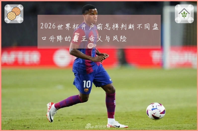 2026世界杯开户前怎样判断不同盘口升降的真正含义与风险
