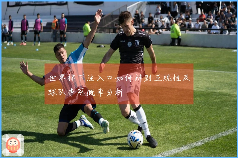 世界杯下注入口如何辨别正规性及球队夺冠概率分析