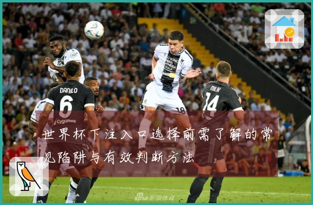 世界杯下注入口选择前需了解的常见陷阱与有效判断方法