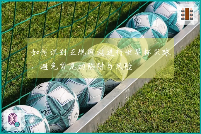 如何识别正规网站进行世界杯买球，避免常见的陷阱与风险