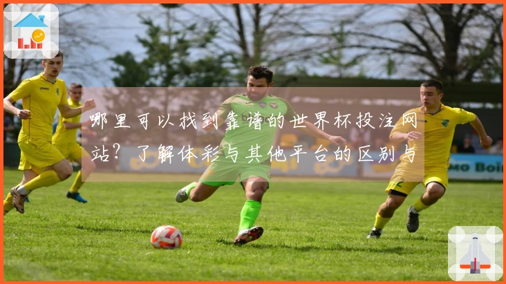 哪里可以找到靠谱的世界杯投注网站？了解体彩与其他平台的区别与选择技巧