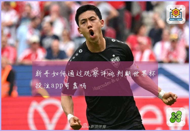 新手如何通过观察评论判断世界杯投注app可靠吗