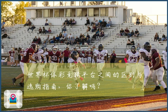 世界杯体彩竞猜平台之间的区别与选购指南，你了解吗？