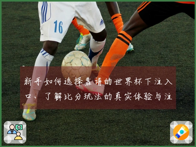 新手如何选择靠谱的世界杯下注入口，了解比分玩法的真实体验与注意事项