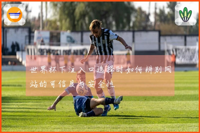 世界杯下注入口选择时如何辨别网站的可信度与安全性