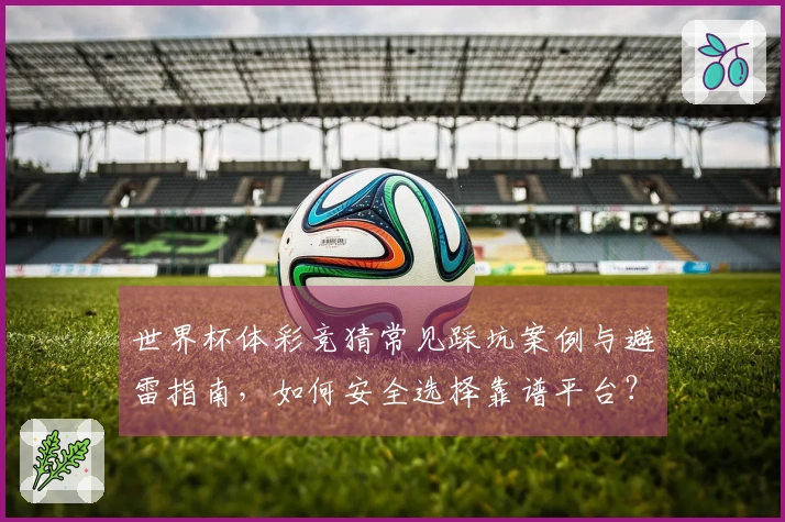 世界杯体彩竞猜常见踩坑案例与避雷指南，如何安全选择靠谱平台？