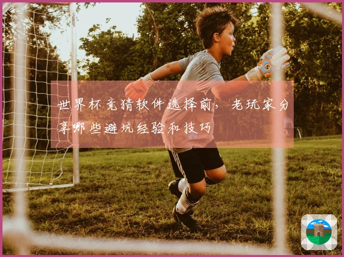 世界杯竞猜软件选择前，老玩家分享哪些避坑经验和技巧