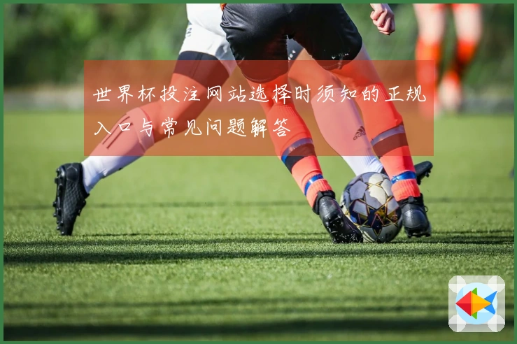 世界杯投注网站选择时须知的正规入口与常见问题解答