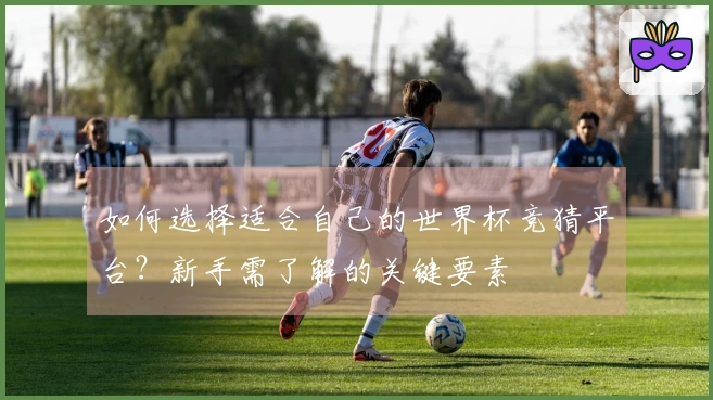 如何选择适合自己的世界杯竞猜平台？新手需了解的关键要素
