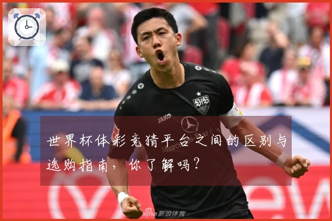 世界杯体彩竞猜平台之间的区别与选购指南，你了解吗？