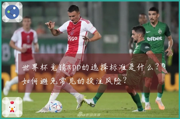 世界杯竞猜app的选择标准是什么？如何避免常见的投注风险？