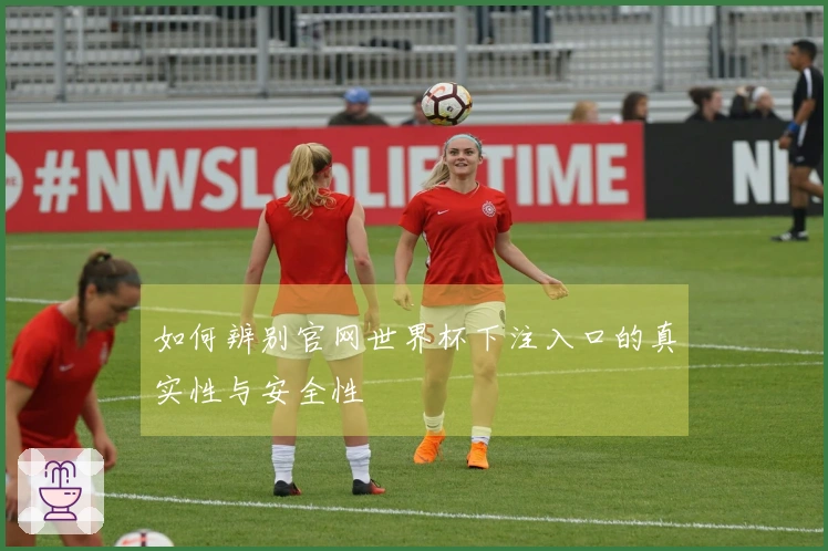 如何辨别官网世界杯下注入口的真实性与安全性