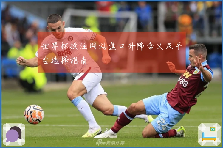 世界杯投注网站盘口升降含义及平台选择指南