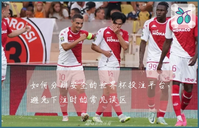 如何分辨安全的世界杯投注平台，避免下注时的常见误区