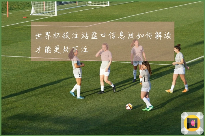 世界杯投注站盘口信息该如何解读才能更好下注